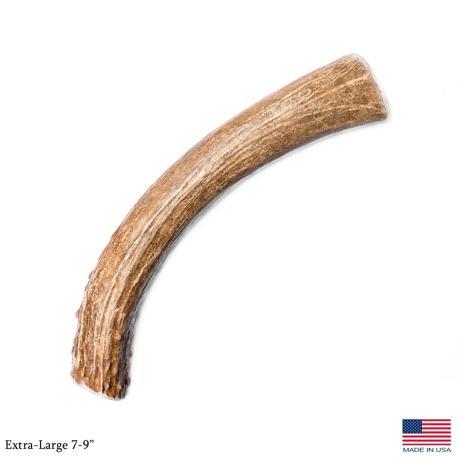 Silvergate Antler Dog Chew Whole Deer eXtra Large - Image 1