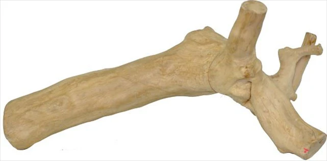 A&E Cage Co Large Reptile Branch - Image 1