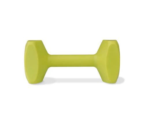Coachi Medium Dumbbell Weight for Dog Training - Image 1
