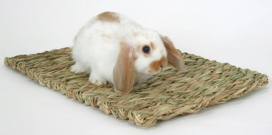 Woven Grass Mat for Small Animals  Brown - Image 1