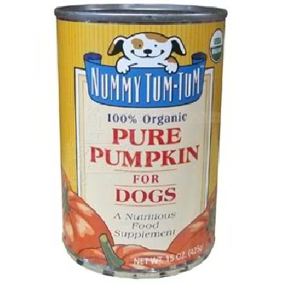 Nummy Tum Tum Pure Organic Pumpkin 15oz - Image 1