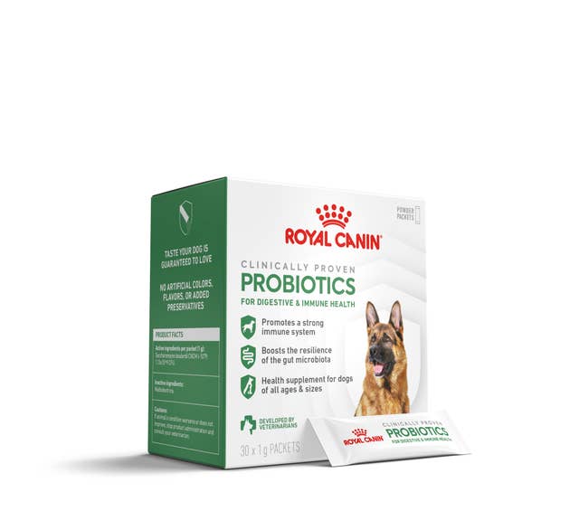 Royal Canin Probiotics for Dogs Digestive and Immune Health Powder Supplement - Image 1