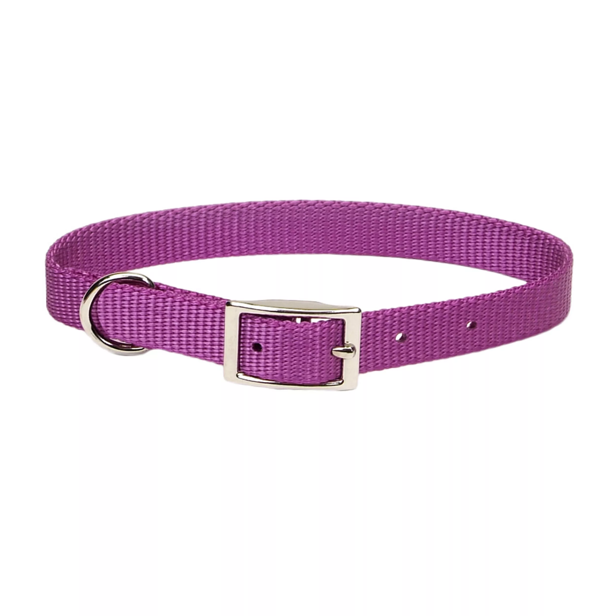Coastal Single Ply 3/4in Wide 18in Dog Collar Orchid - Image 1