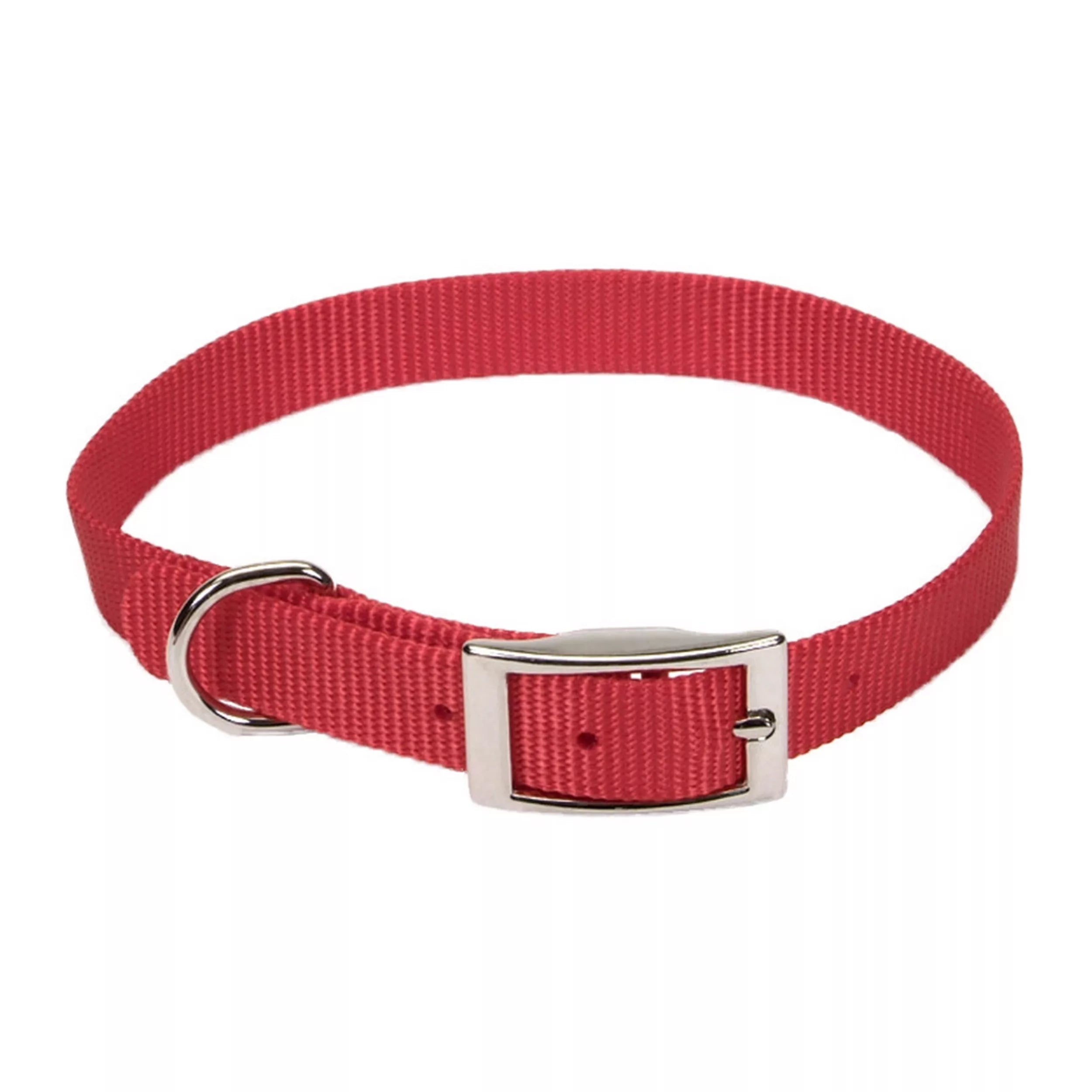 Coastal Single Ply 3/4in Wide 18in Dog Collar Red - Image 1