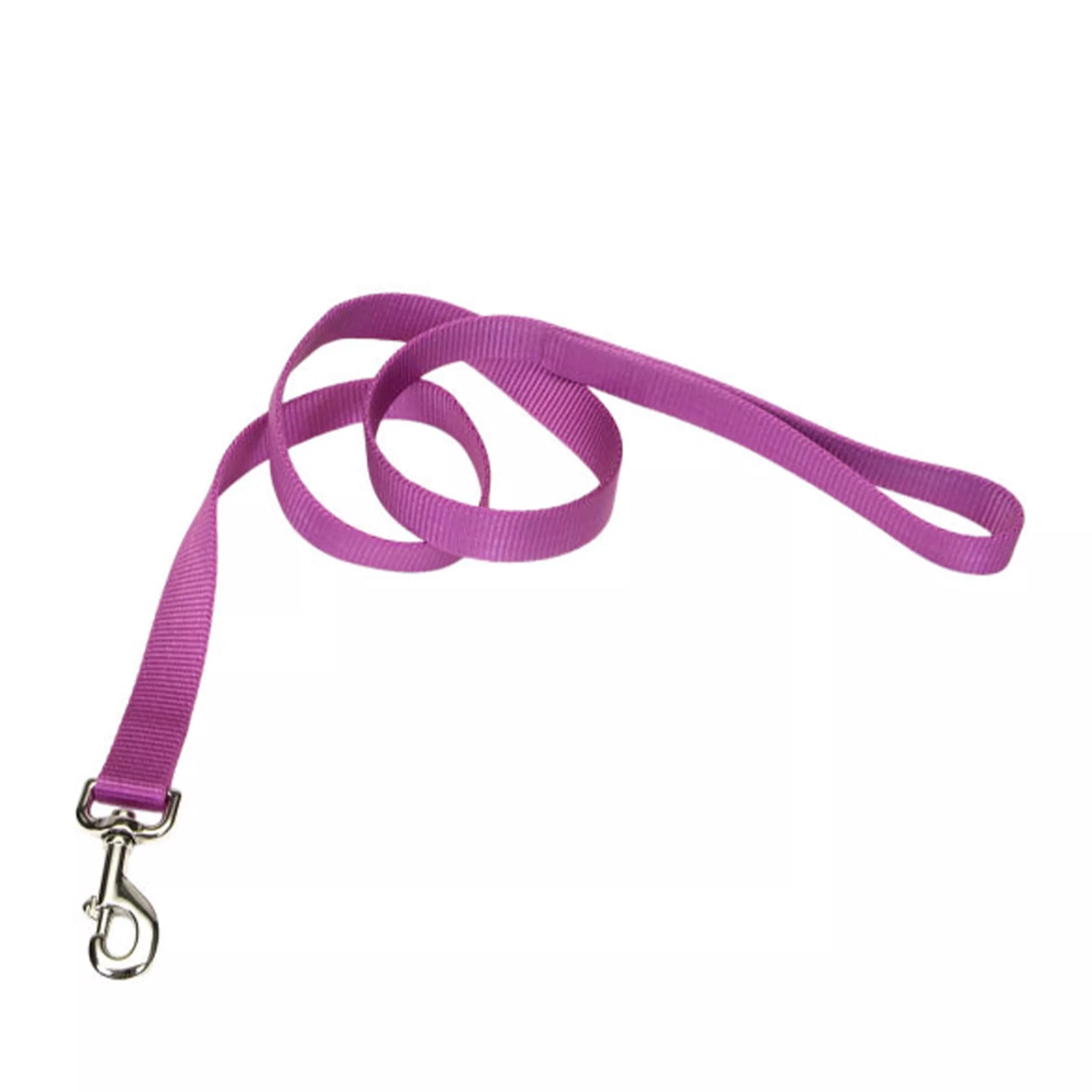 Coastal Single Ply 4ft Long 1in Dog Leash Orchid - Image 1