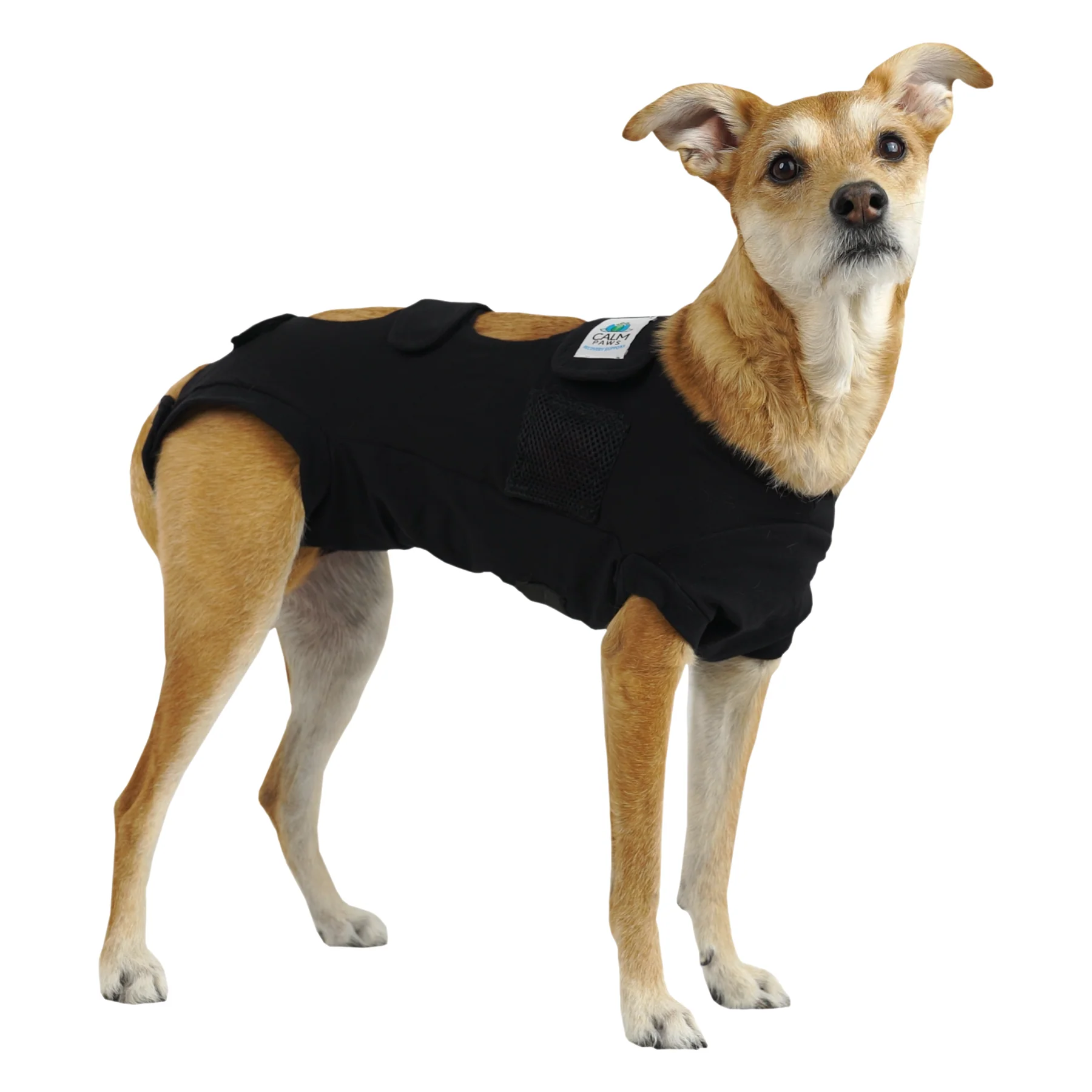 Calm Paws Premium Recovery Vest eXtra Large - Image 1