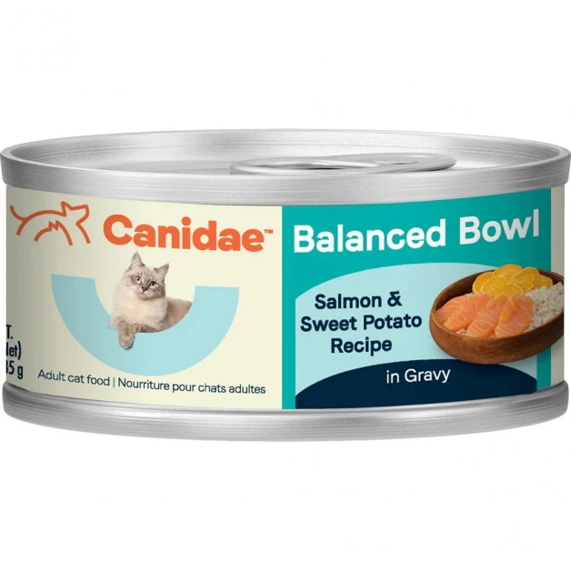 Canidae Balanced Bowl Salmon and Sweet Potato Recipe in Gravy Wet Cat Food 3oz can - Image 1