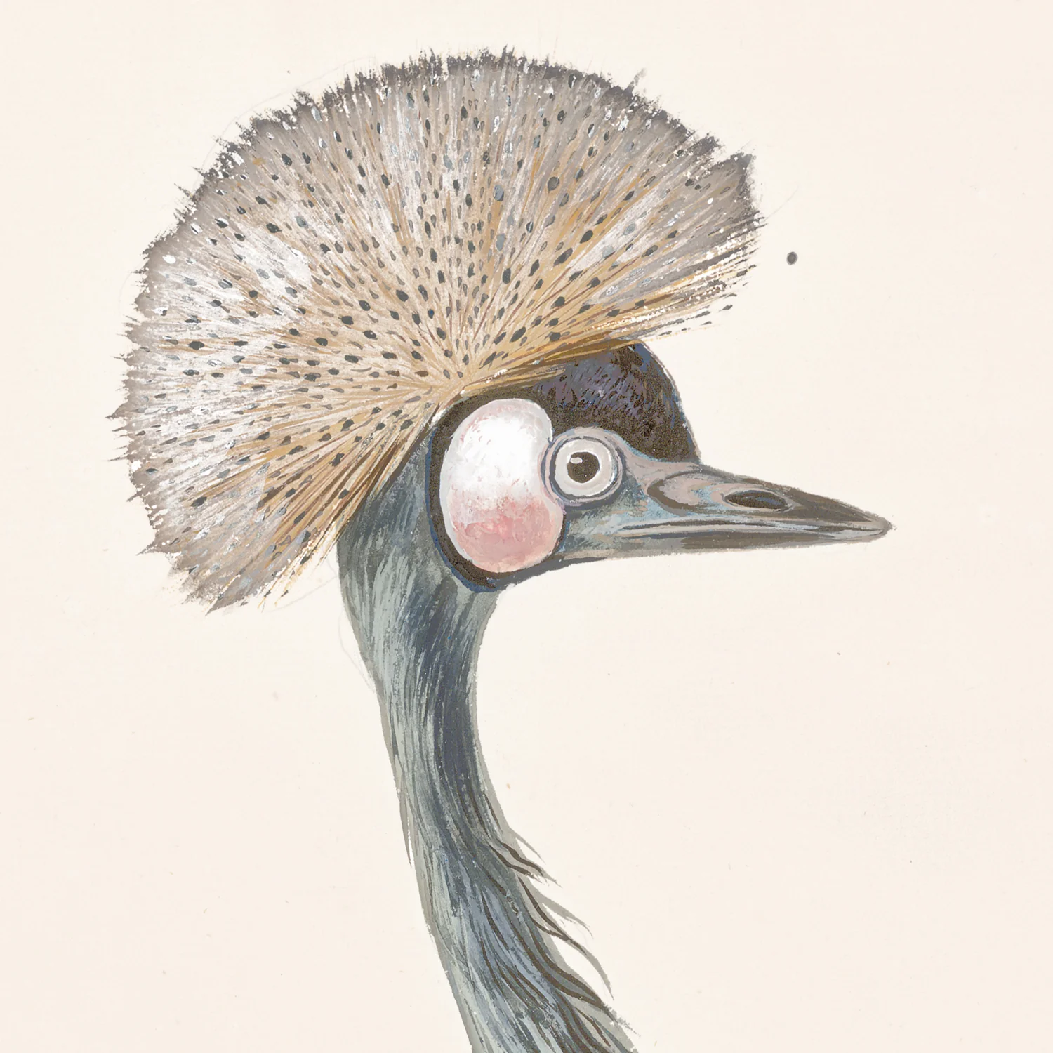 T. White – Crowned Crane C. 1720 - Image 3