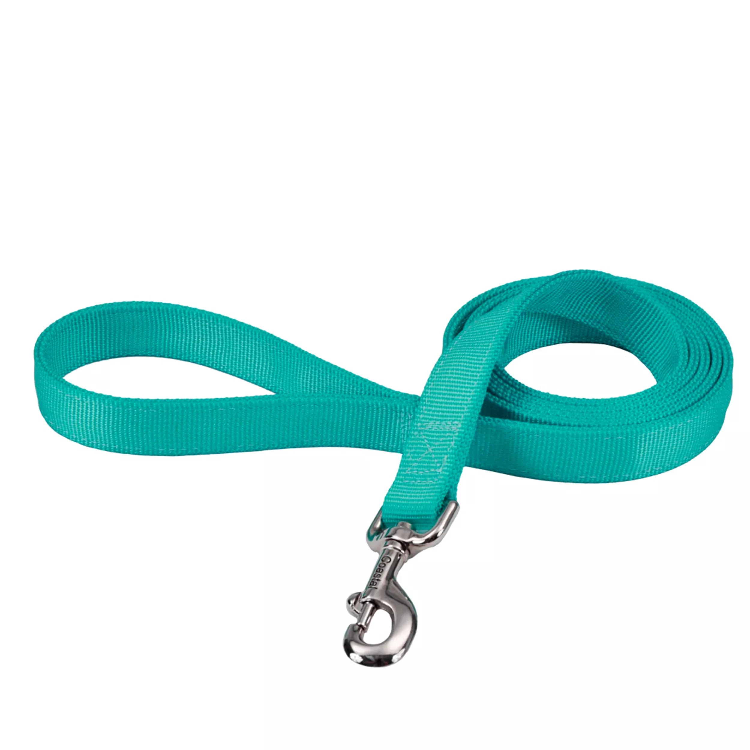 Coastal Double Ply 6ft Long 1in Dog Leash Teal - Image 1