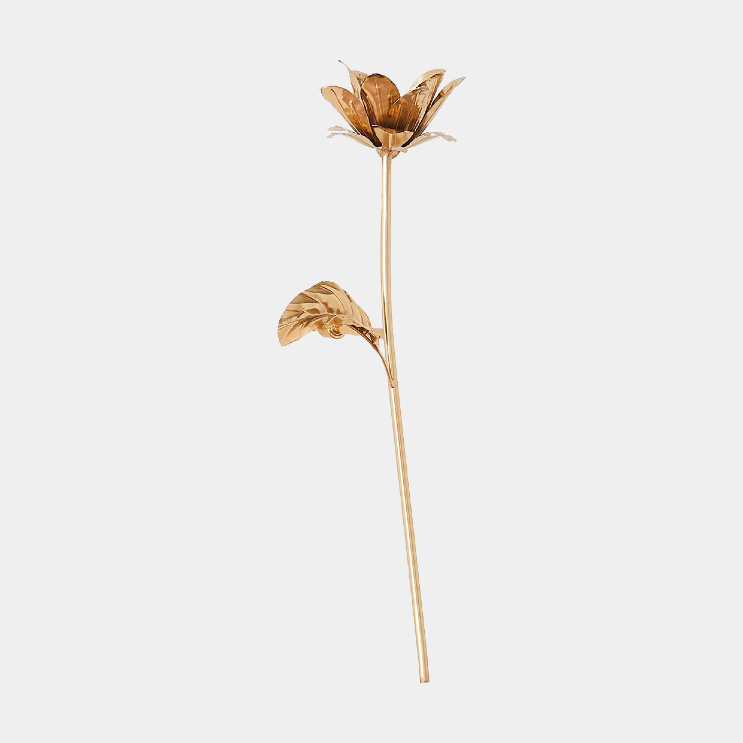 Botanical Wall Sculptures - Image 3