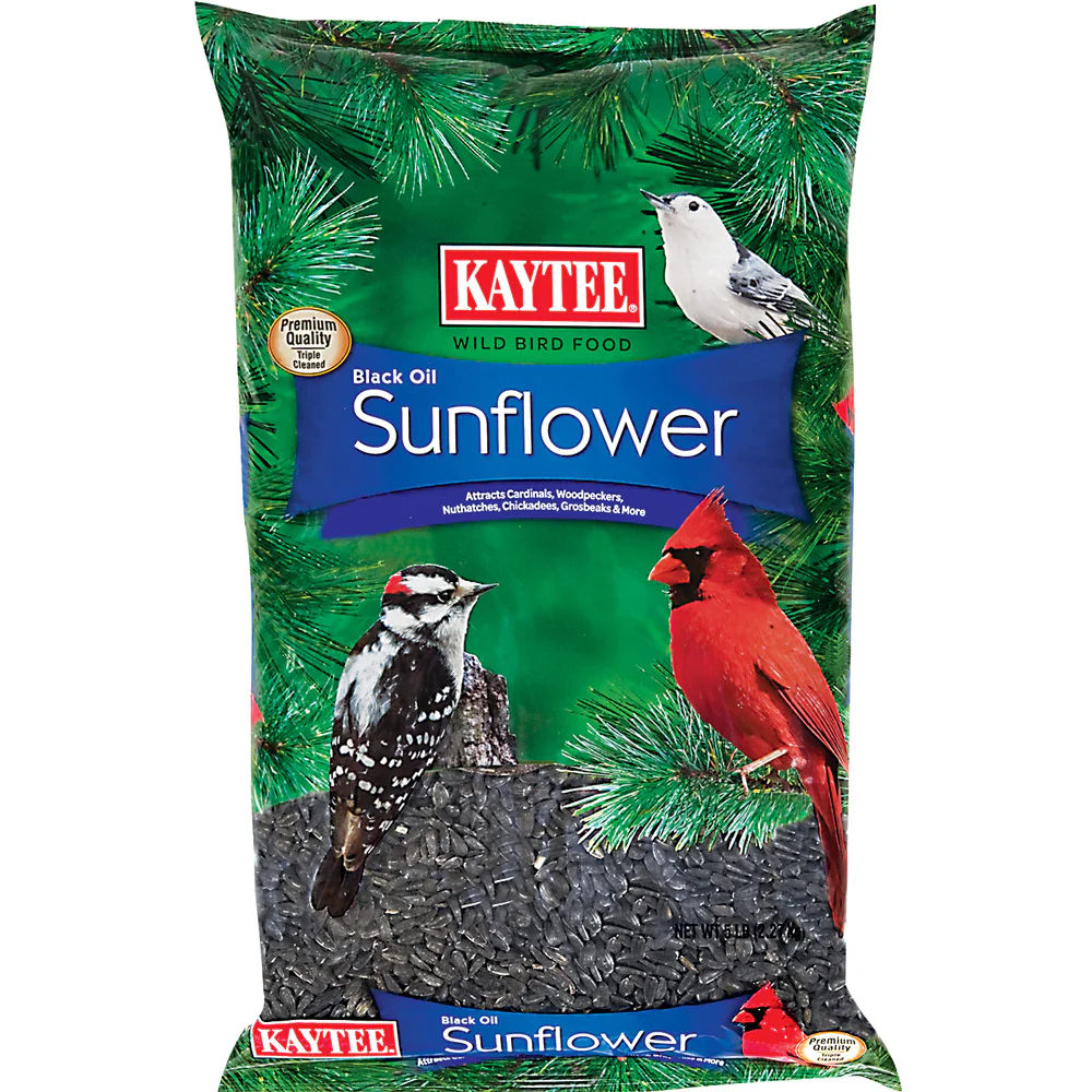 Kaytee Wild Bird Black Oil Sunflower Food, 5lb - Image 1