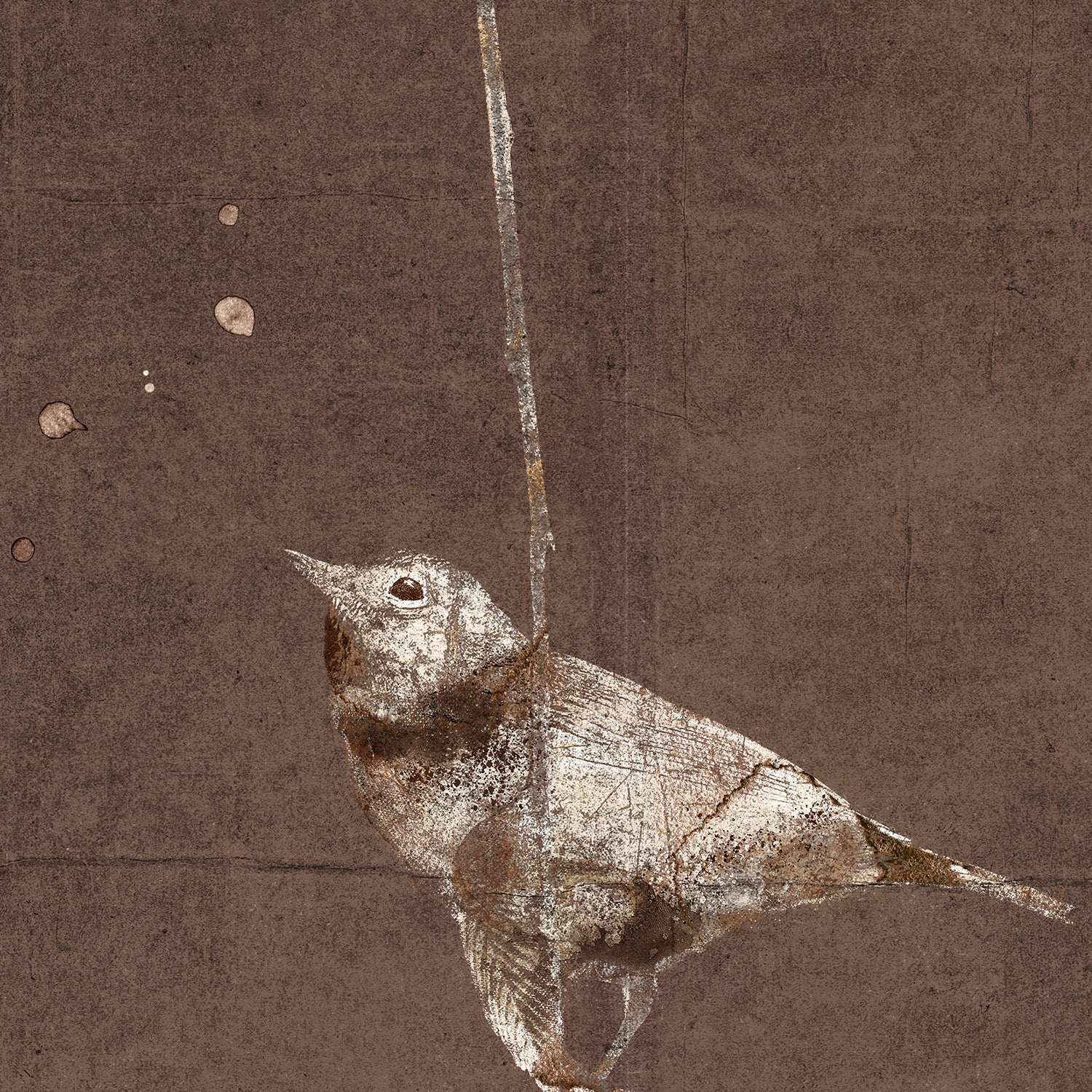 Nature Moment - Image 3