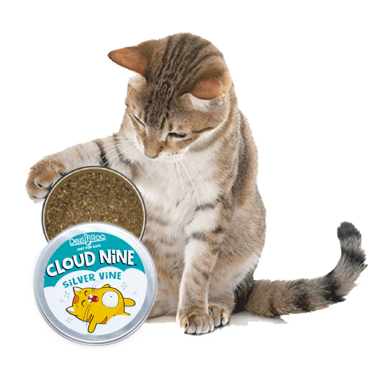 Dezi & Roo Cloud Nine Silver Vine Cat Attractant Medium - Image 1