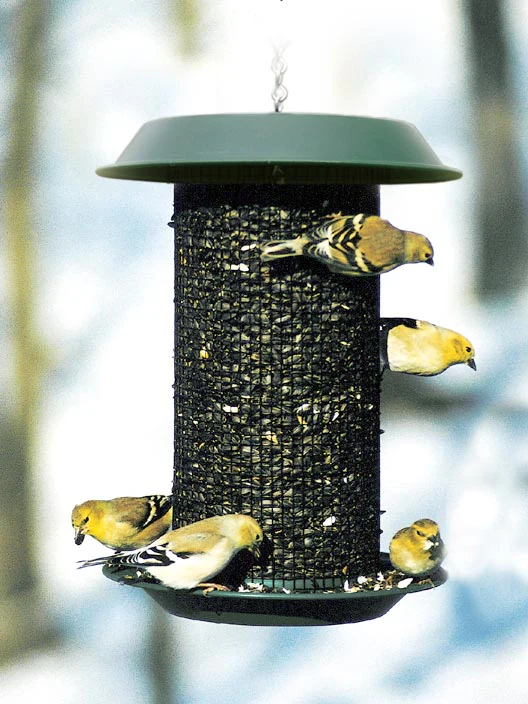 Wood Link Magnum Sunflower Feeder - Image 1