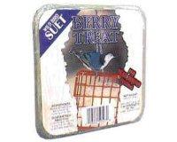 C&S Suet for wild Birds 11oz Berry Treat - Image 1