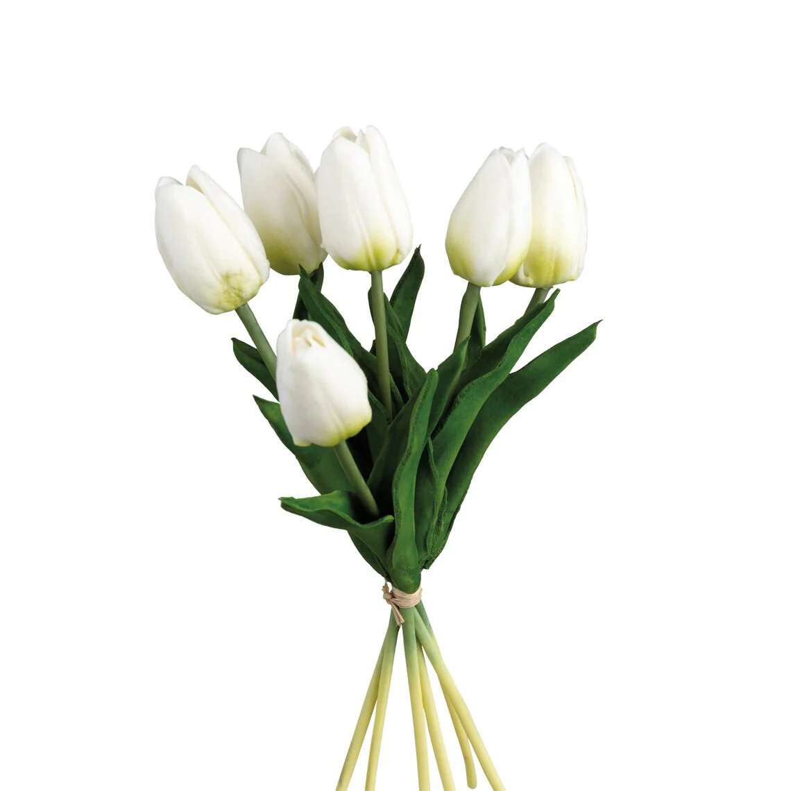 Tulip Bundle - Image 3
