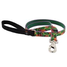 Lupine Pet Dog 6 Ft Long 3/4 In Leash Original Designs Pina Colada - Image 1