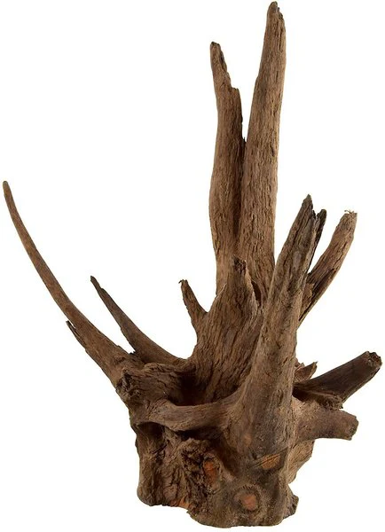 Underwater Treasures Eucalyptus Root Fish Wood, Nano - Image 1