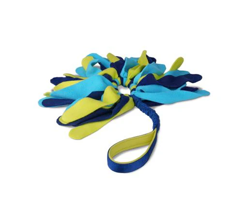 Coachi Tuggi Spider Toy for Puppies - Image 1
