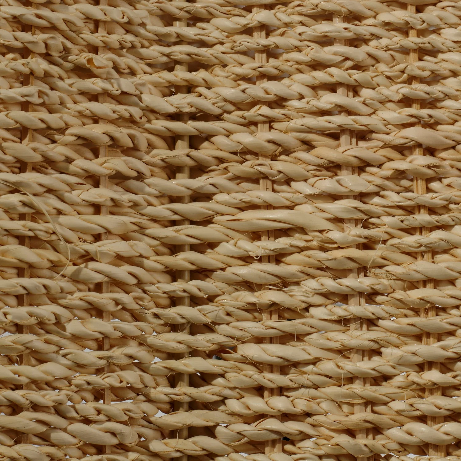Rosemary Pendant - Image 3