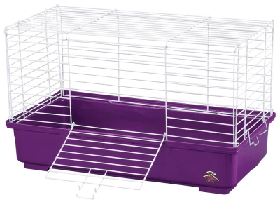 Pets International SP60219 24.5 in. L x 12.5 in. W x 14.5 in. H My First Home - Image 1