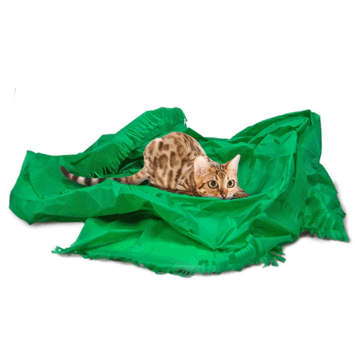 Dezi & Roo Magic Carpet Assorted Cat Toy - Image 1