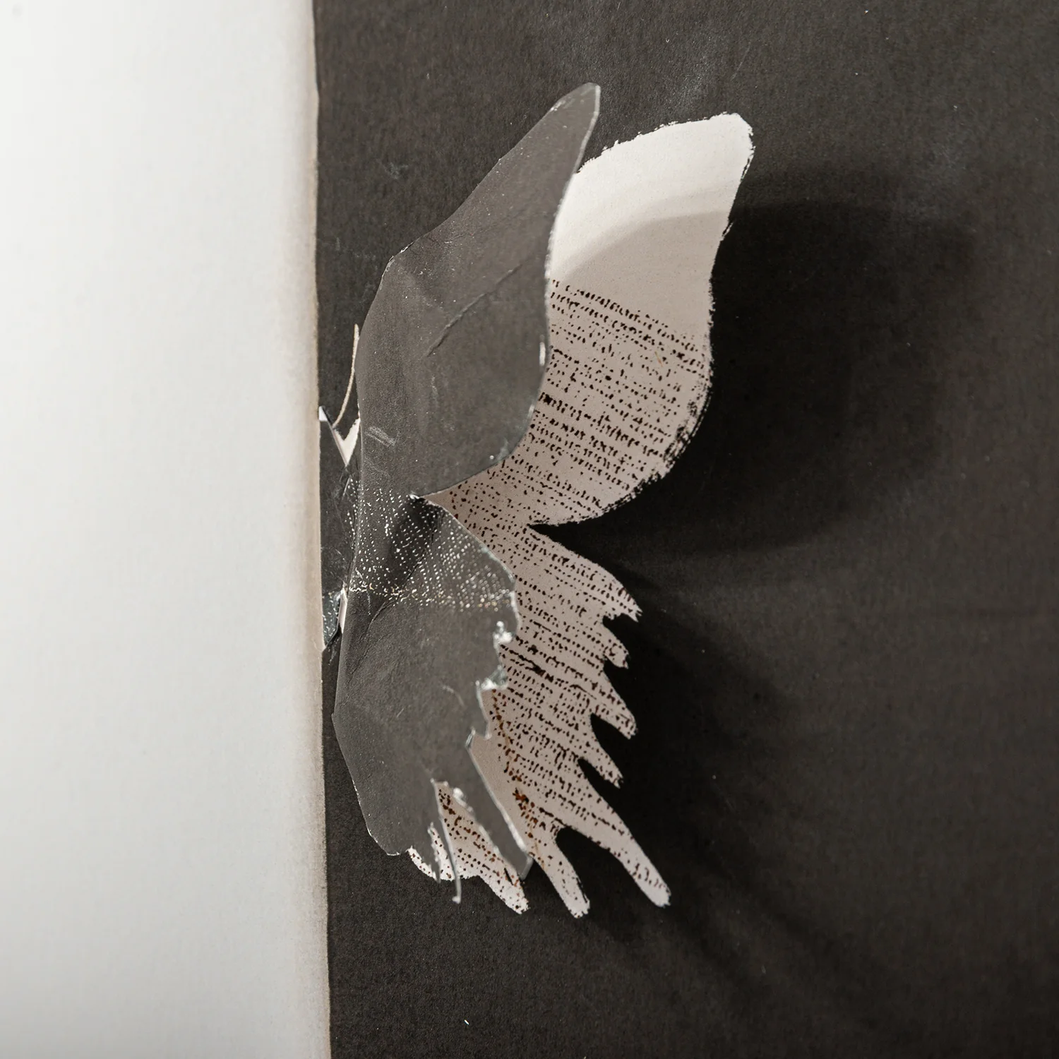 Farfalla Black and White - Image 3