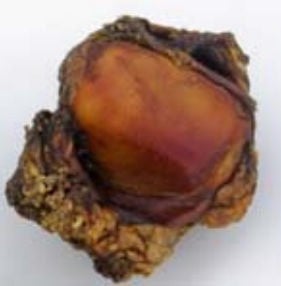 Beef Knee Caps - Image 1