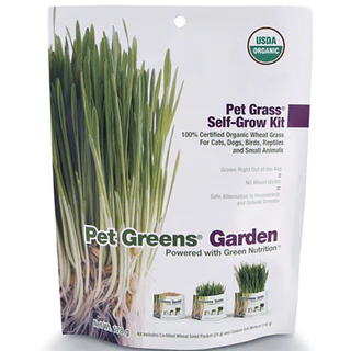 Pet Greens Garden Wheat Grass Self Grow Kit - Image 1