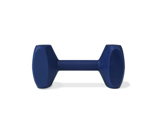 Coachi Small Dumbbell Weight for Dog Training - Image 1
