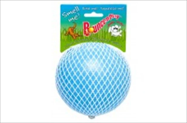 Jolly Pets Bounce-n-Play Jolly Ball Dog Toy  4.5   Light Blue - Image 1