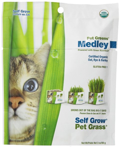 Pet Greens Grass Medley Self Grow Kit 3oz - Image 1
