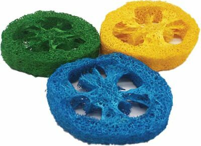 A&E Cage Co Nibbles Loofah Slice Chew - Image 1