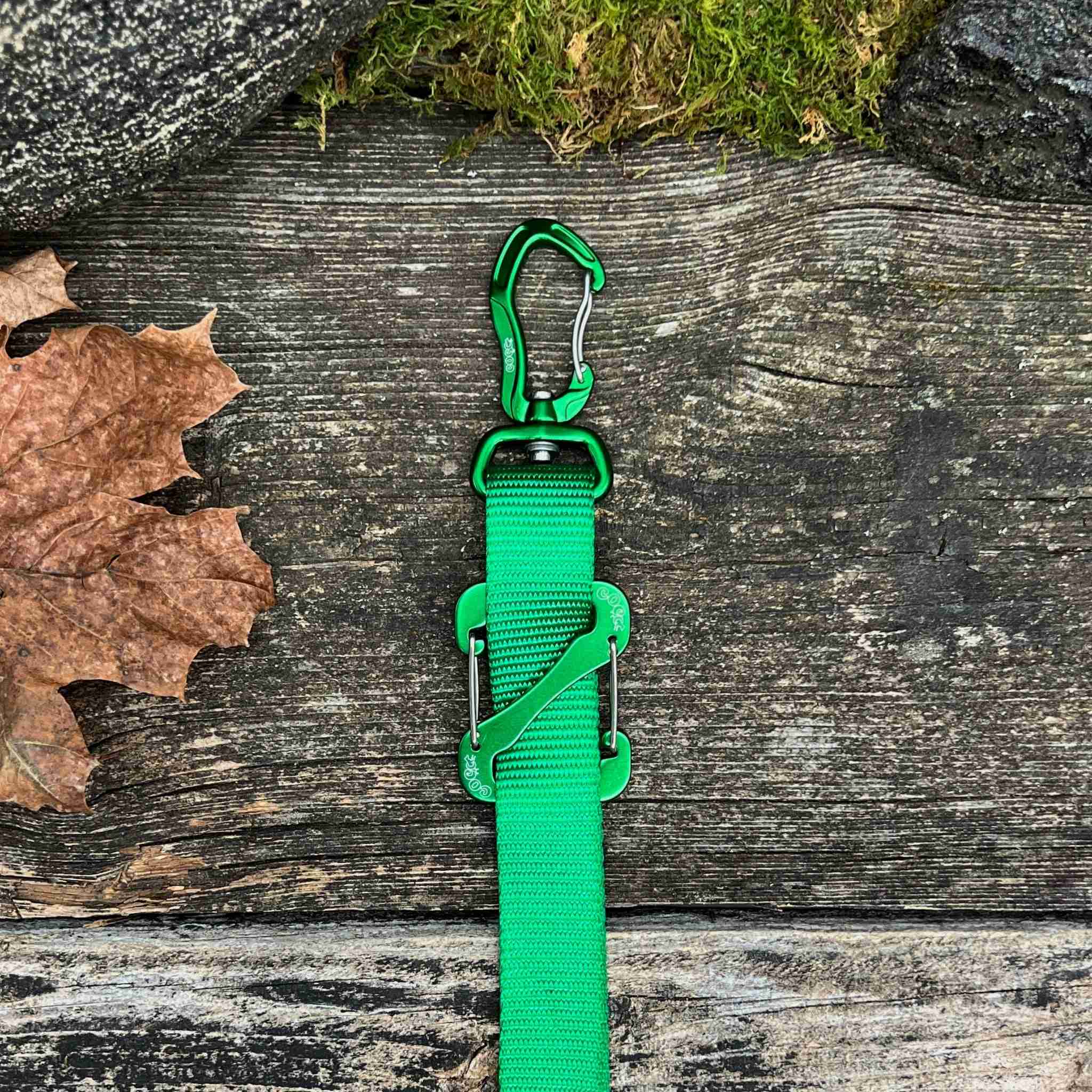 Canine Outdoor Crosswalk Clip Hands Free 10ft Dog Leash Green - Image 1
