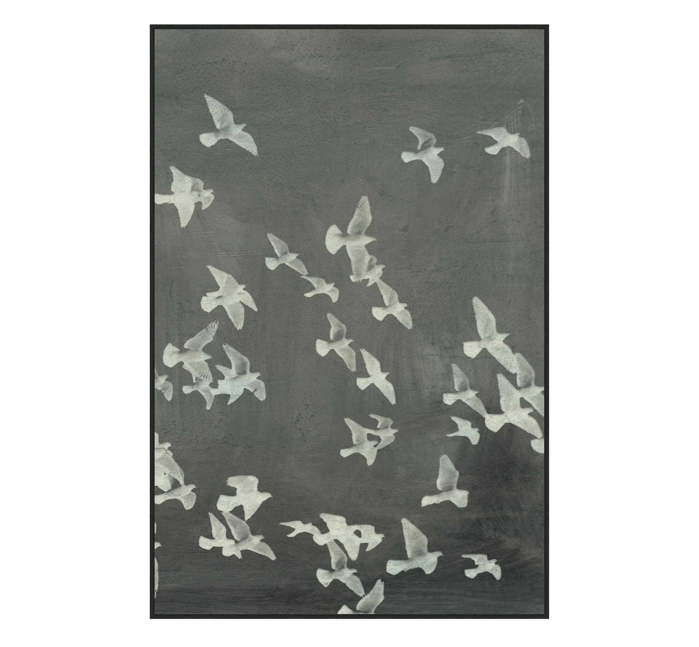 Doves In Flight II - Image 1