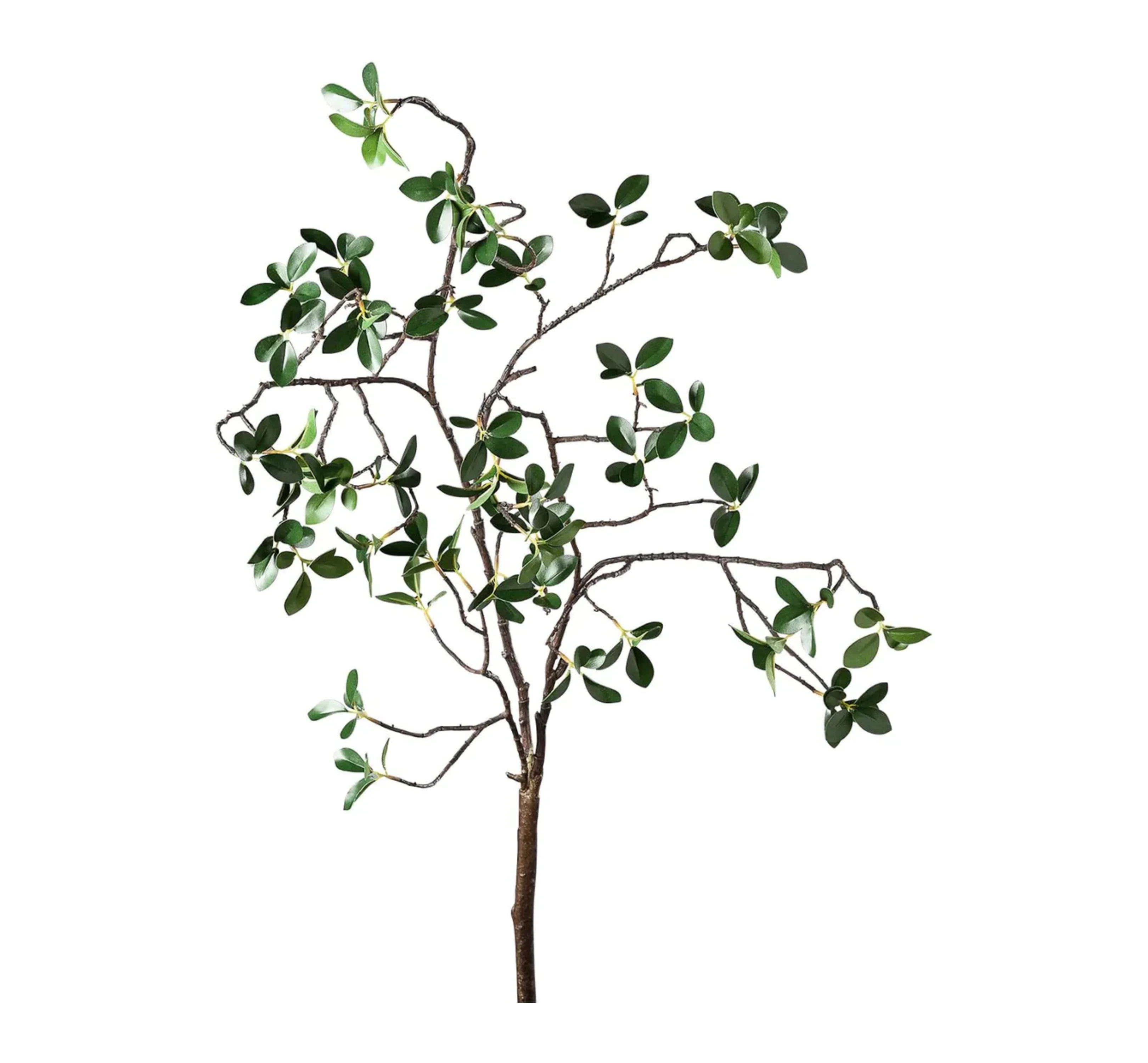 Grove Mini Leaf 44″ Spray